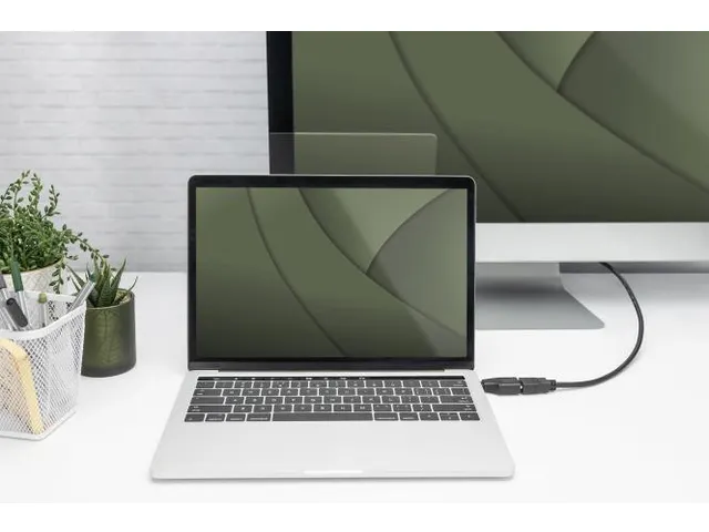 4K USB-adapter USB-C/mannelijk naar HDMI A/vrouwelijk