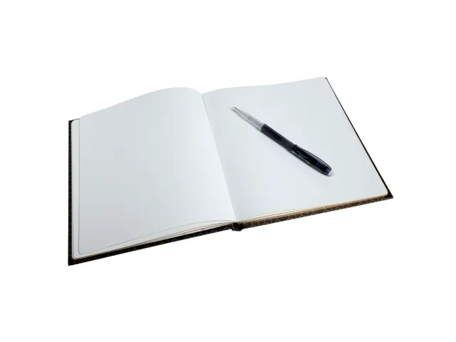 Livre d'or 140 pages tranche or - Format 21x19cm - ARTY - Noir