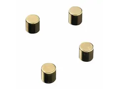 Glasbordmagneten Naga 10x10xmmcylinder set a 4st. goud