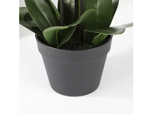 Kunstplant Mica Phalaenopsis orchidee wit in plastic pot 79x51cm