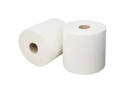 Poetspapier Euro P52670 Cellulose 1-laags 2 Rol