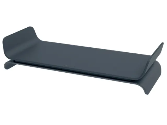 Monitorstandaard Leitz Ergo verstelbaar grijs