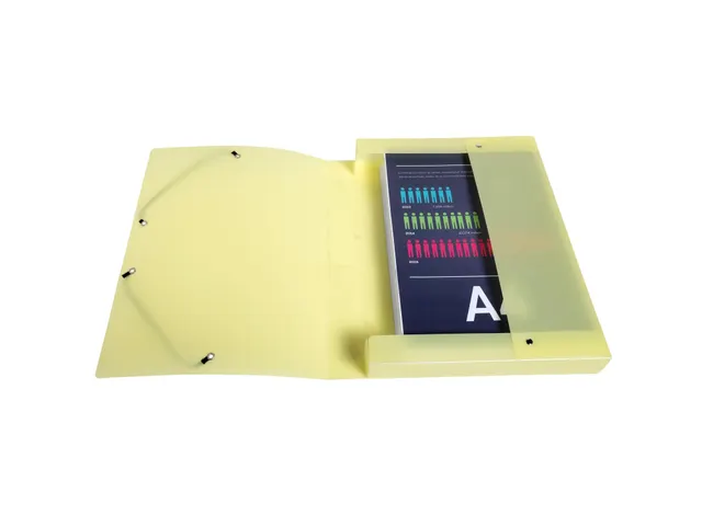 Boite de classement Exabox Dos 40mm Polypropylène 7/10e Chromaline pa