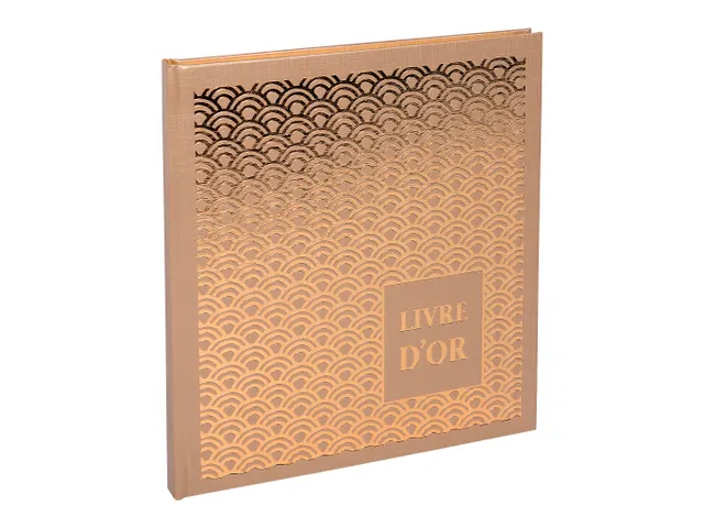 Livre d'or 140 pages tranche or - Format 21x19cm - PALMYRE - Visuels a
