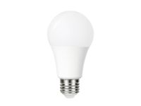 Ampoule LED Integral E27 5000K blanc froid 4,8W 470lumen capteur nuit/