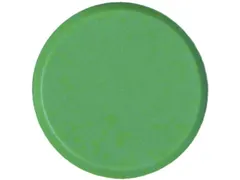 Magneten 30 Mm Groen 10 Stuks