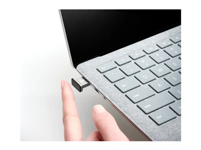 VeriMark IT Fingerprint Key