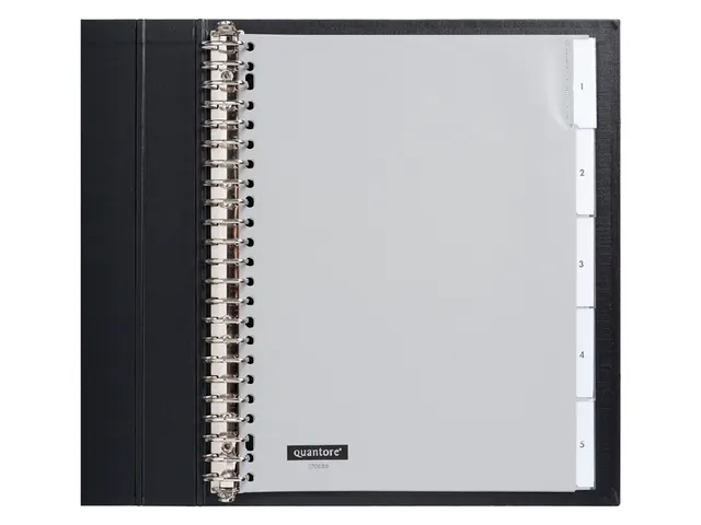 Tabbladen Quantore A4 23-Gaats 5-Delig Met Venster Grijs Pp