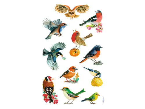 papieretiket Z-design Creative pakje a 3 vel vogels