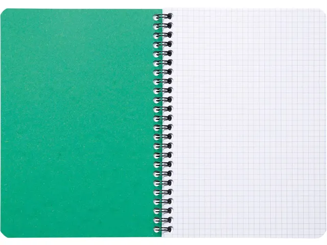 FOREVER spiraalschrift A5 90g geruit groen