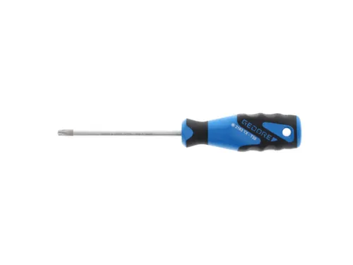 2163 Schroevendraaier TX T30 3C