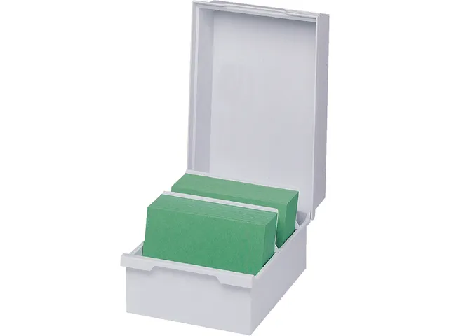 Boîte à Fichier Multiform A5 Long Plastique Gris