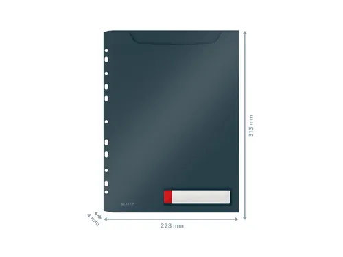 Insteekmap U-model Leitz Cosy harmonica A4 met perforatiestrip PP grij
