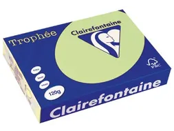 Trophée Pastel gekleurd papier A4 120 gram 250vel Groen