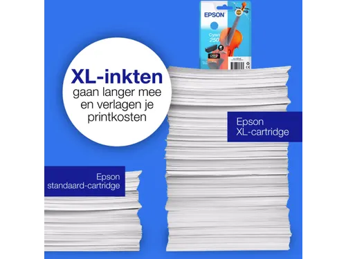 Inktcartridge Epson 250 T16N24 blauw