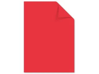 papier Kangaro A4 120 gram pak a 100 vel (10x10) assorti - 6