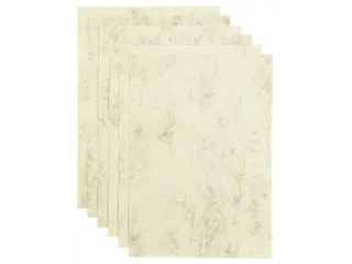 Kopieerpapier Papicolor A4 200gr 6 vel marble ivoor - 1