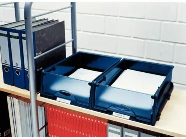 Sorteerbak Leitz 5231 Sorty met klep blauw A4