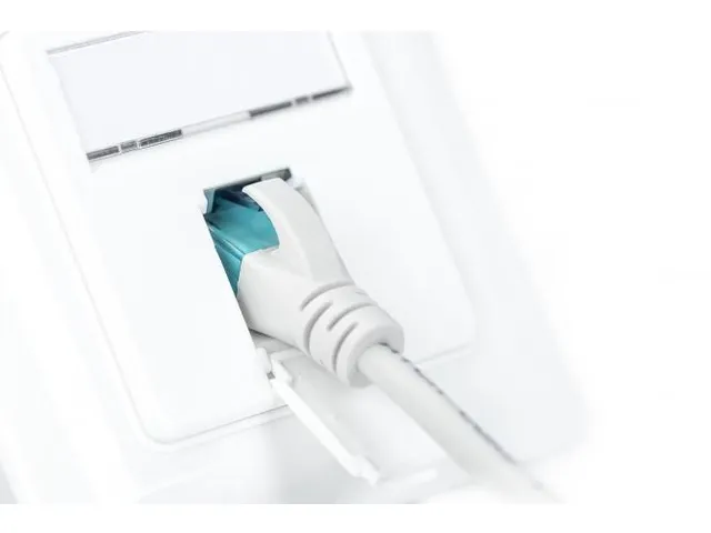 CAT 6A Klasse EA netwerkaansluiting afgeschermd wit inbouw 8 richtinge