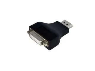 DisplayPort DVI Video Adapter Converter - 1