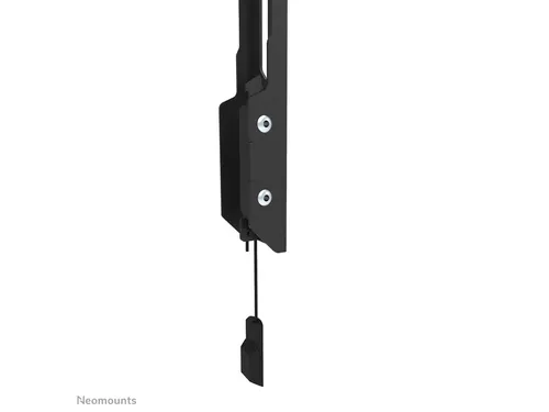 TV wandsteun Neomounts 24-55 inch