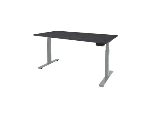 Dextro Plus Zit-sta Bureau Elektrisch 120x80 houtprint schaduw alu