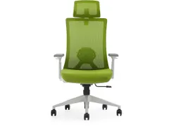 Bureaustoel Verona Net Groen Nen En 1335 Arbo Goedgekeurd