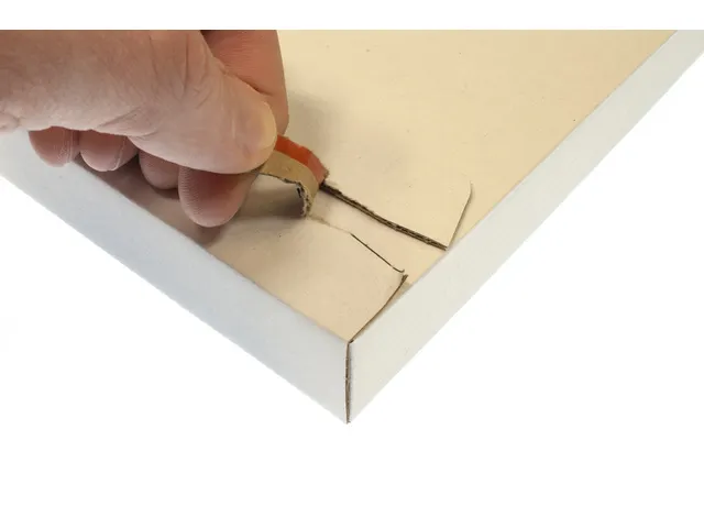 brievenbusdoos Raadhuis 255x170x28mm wit 650grs duplex 5 stuks