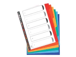 Tabbladen Exacompta A4 Extra Breed 11-Gaats 6-Delig Karton Assorti