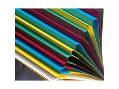 Sorteermap Harmonika vensters 6 vak rood