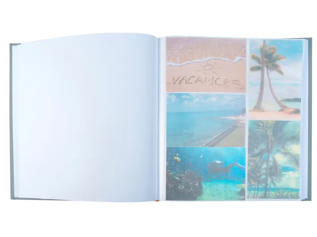 Fotoalbum Exacompta 29x32cm 60 witte pagina's Ellipse grijs