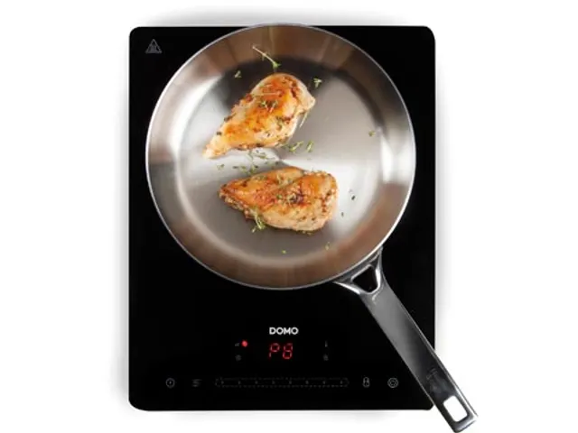 Plaque à induction 1 feu 2000W noir