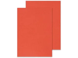 Dekblad A4 Rood Lederlook 250 Grams Pak 100 Stuks - 2