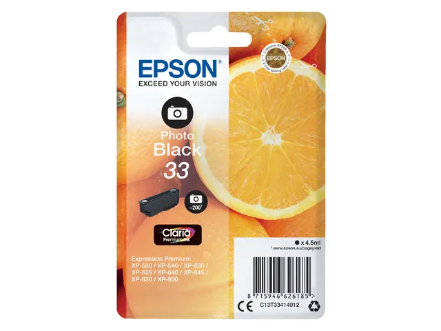Inktcartridge Epson 33 T3341 foto zwart C13T33414012