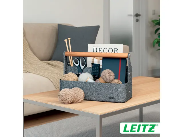 Bureau organizer Leitz draagbaar donkergrijs