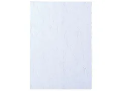 Voorblad Karton Gbc A4 Lederlook Wit 250 Gram