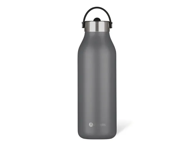 Thermosfles 2.0 Les Artistes Paris 1500ml Grey met rietje