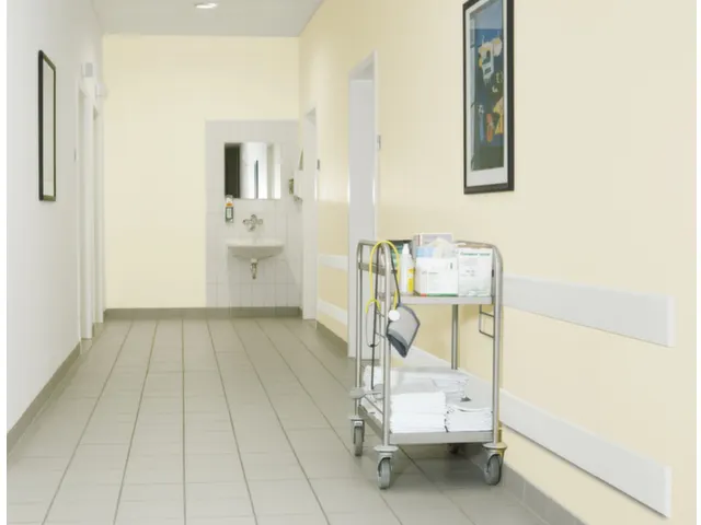 muurbescherming,v. binnen,HxLxD 150x2060x20mm,PE,wit,vastschroefbaar