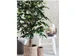 Kunstplant Mica Ficus groen in pot 85x150cm