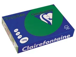 Trophée Intens Gekleurd Papier A4 120 gram 250vel Dennengroen