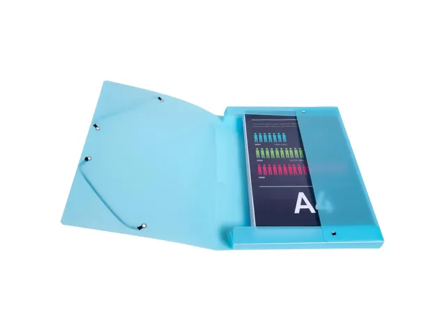 Boite de classement Exabox Dos 25mm Polypropylène 7/10e Chromaline pa