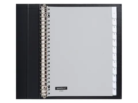 Tabbladen Quantore A4 23-Gaats 12-Delig Met Venster Grijs Pp