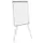 Bisilque Flipchart Euro Earth-it