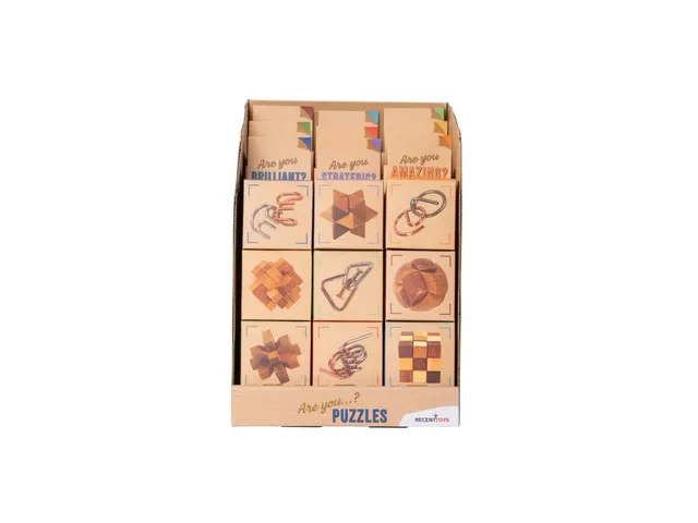 Recent Toys "Are You...?" Puzzels display 27 stuks 14+