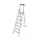 Ladder Aluminium Bordes H 1 65M 7Treden Incl. Bordes