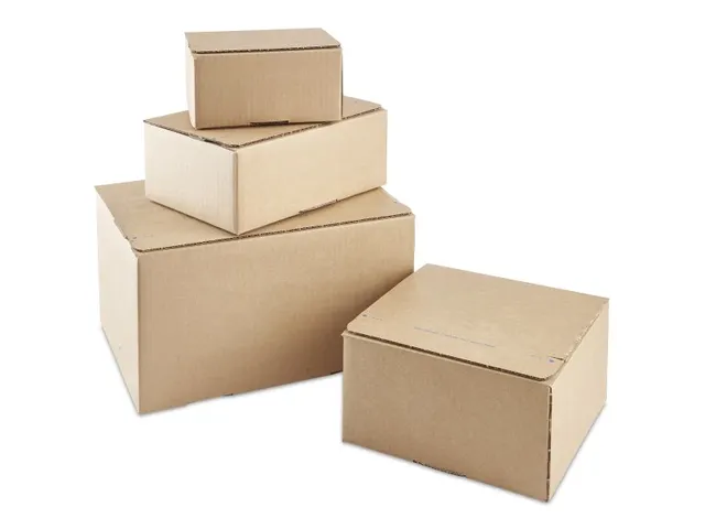 Verzenddoos Postdoos Bruin 200x200x100mm 20 Stuks