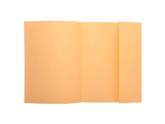 Dossiermap Exacompta Super 160gr 1 klep lichtoranje A4 100 Stuks