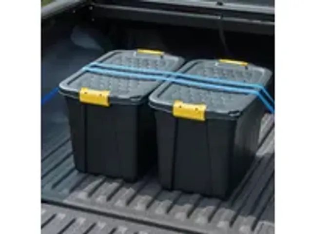 OUTLET Boîte de rangement robuste 60L avec poignées Noir