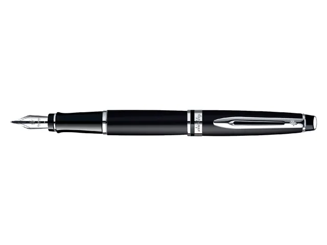 Vulpen Waterman Expert matt black CT medium