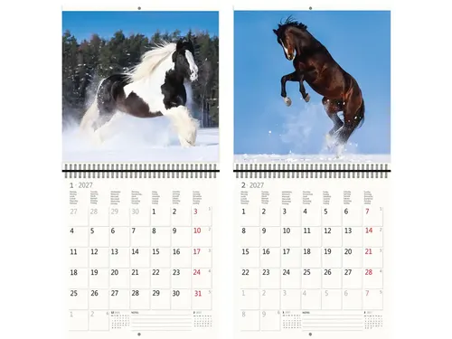 Kalender 2027 Helma 365 30x30cm paarden